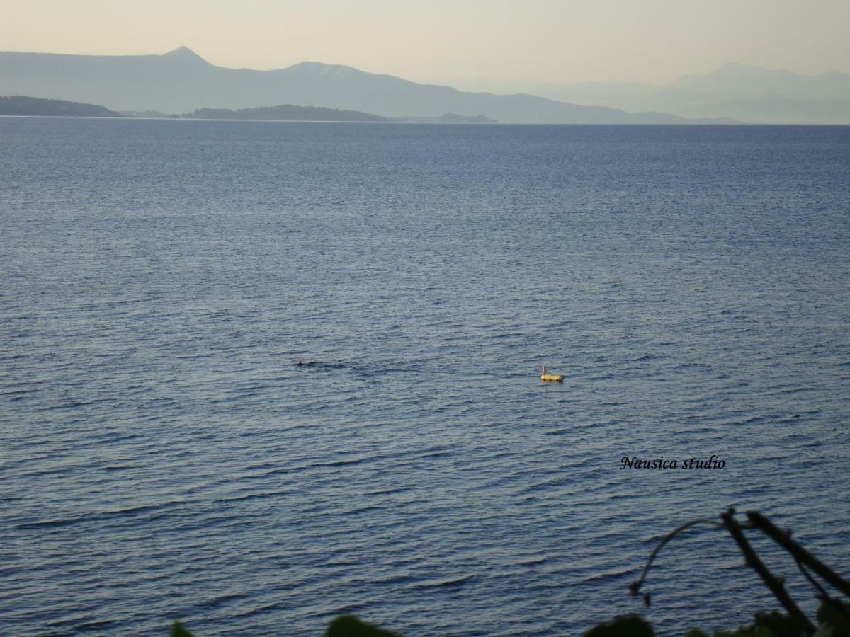 Studio Nausica... A Sense Of Paradise! Agia Pelagia Chlomou Exterior foto