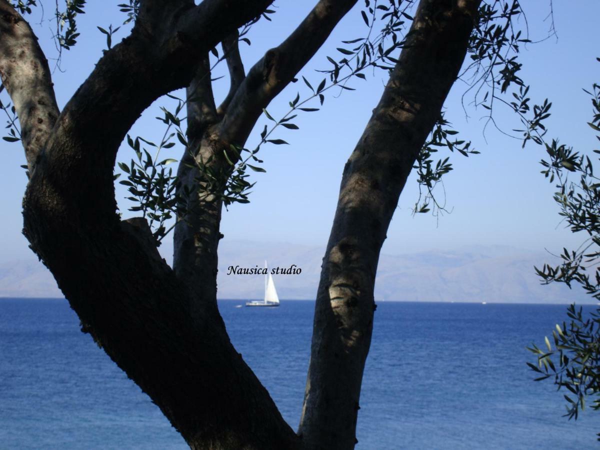 Studio Nausica... A Sense Of Paradise! Agia Pelagia Chlomou Exterior foto